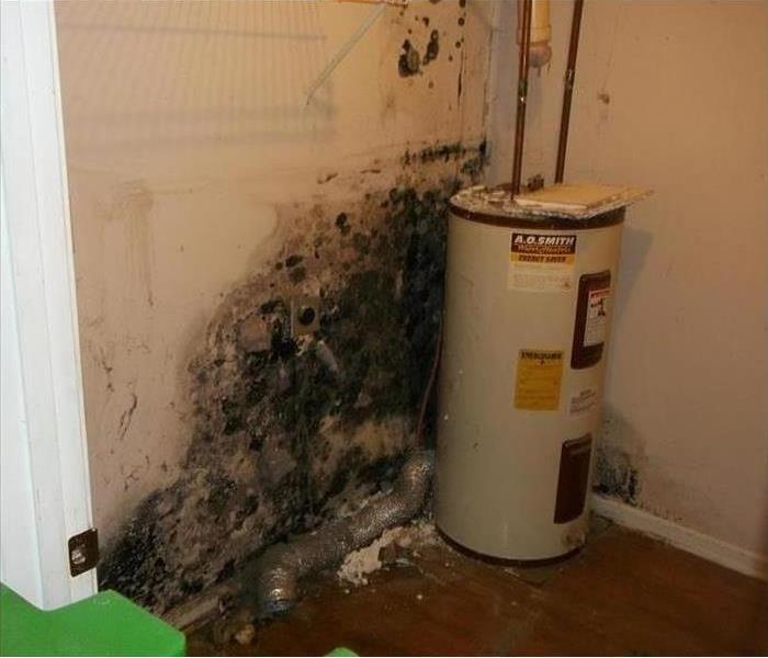 mold damaged wall, black stains, water heater
