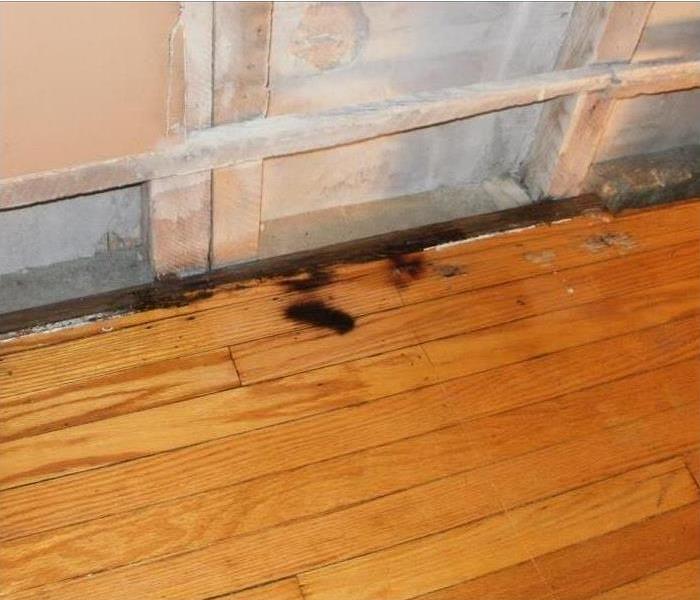 carpet removed, showing hardwood floor with a little burning and repaired back wall