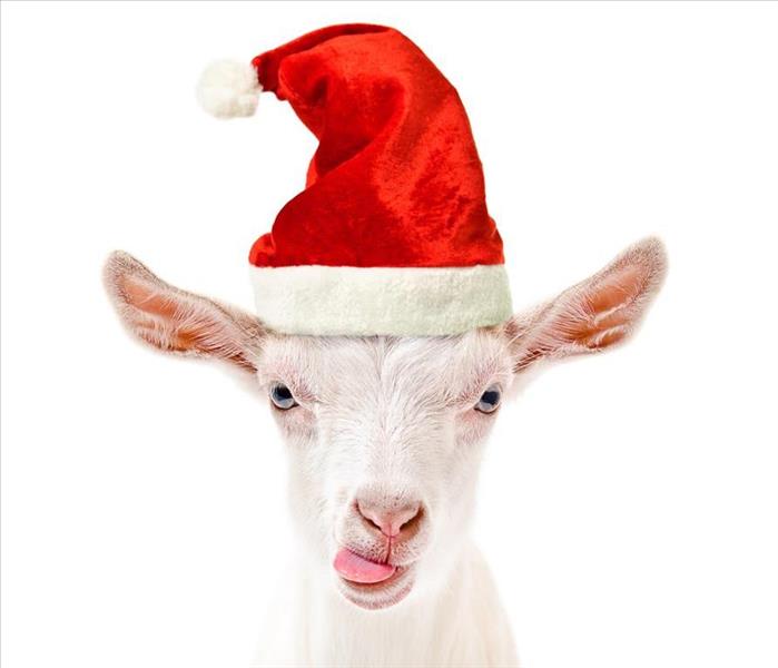 A goat with a red and white hat on. 