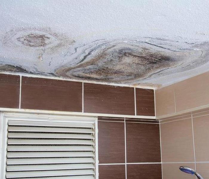 mold growth on bathroom ceiling