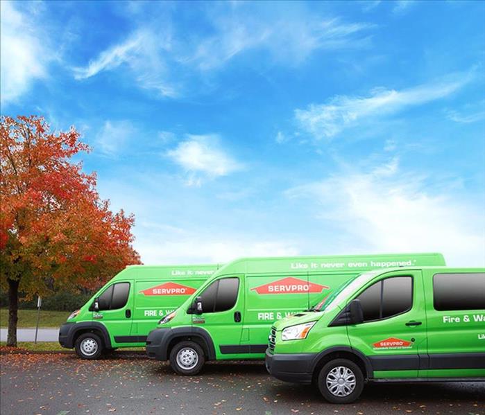 A fleet of SERVPRO trucks are lined up and prepared to help this fall.